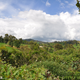Correa Peña's land